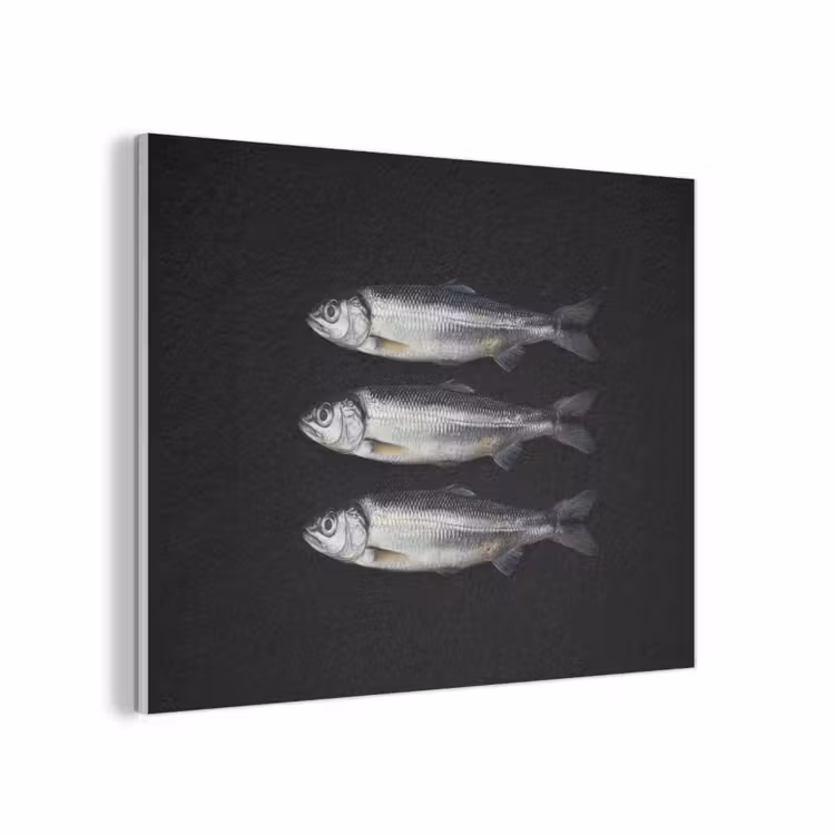 Haring - Vissen - Zwart PET vilt klein -3d