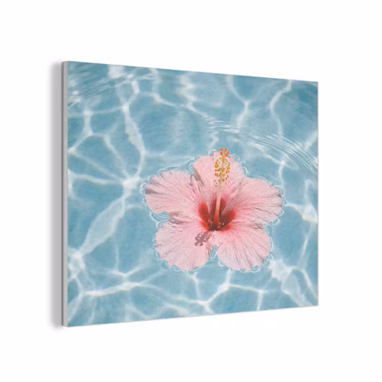 Hibiscus - Water - Roze PET vilt klein -3d