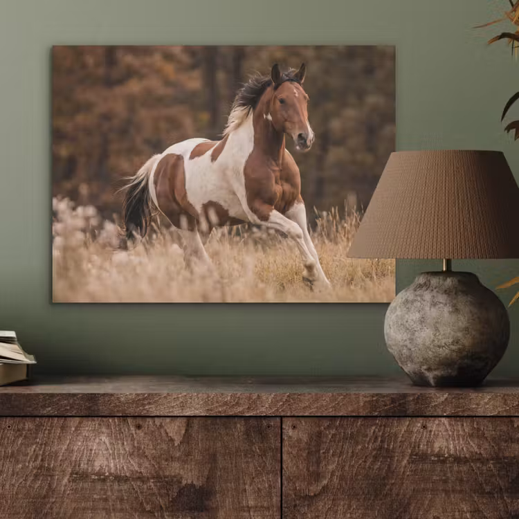 Paard - Bruin - Gras PET vilt klein -sfeer2