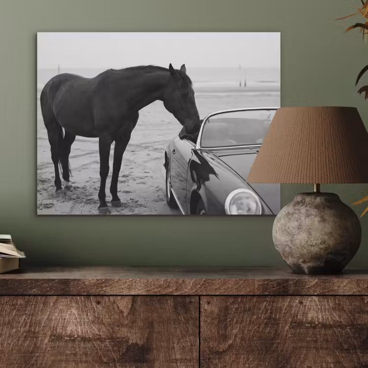 Paard - Auto - Zwart - Wit PET vilt klein -sfeer2