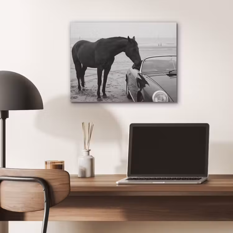 Paard - Auto - Zwart - Wit PET vilt klein -sfeer5