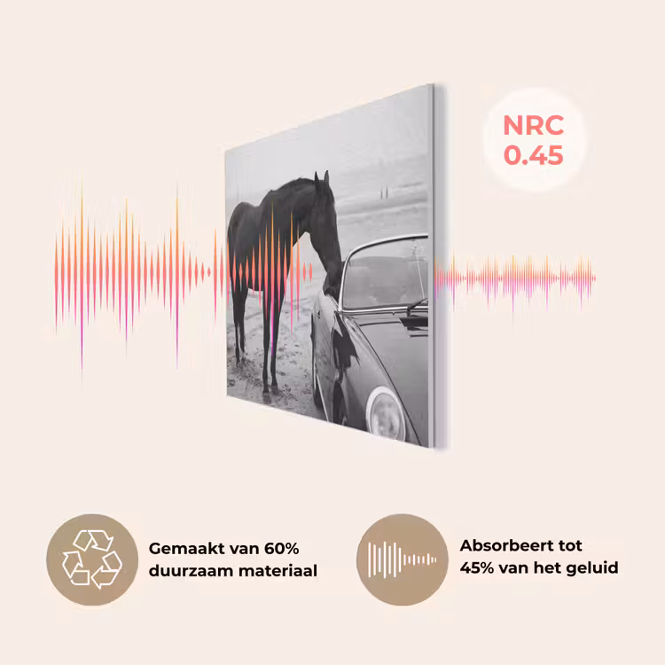 Paard - Auto - Zwart - Wit PET vilt klein -USP_NL