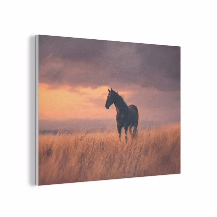 Paard - Wolken - Open veld PET vilt klein -3d