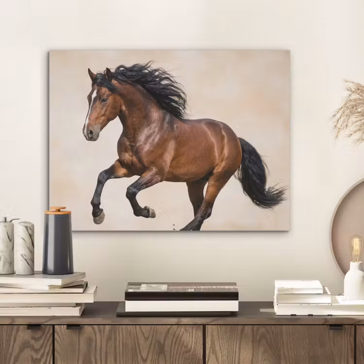 Paard - Galop - Energie PET vilt klein -sfeer1