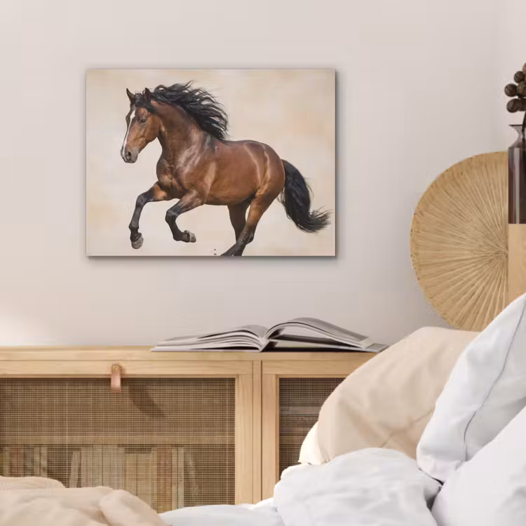 Paard - Galop - Energie PET vilt klein -sfeer3