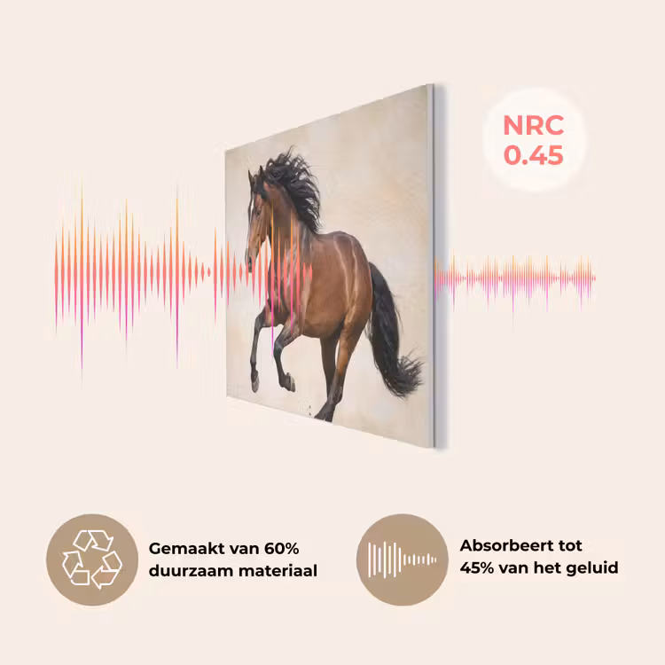 Paard - Galop - Energie PET vilt klein -USP_NL