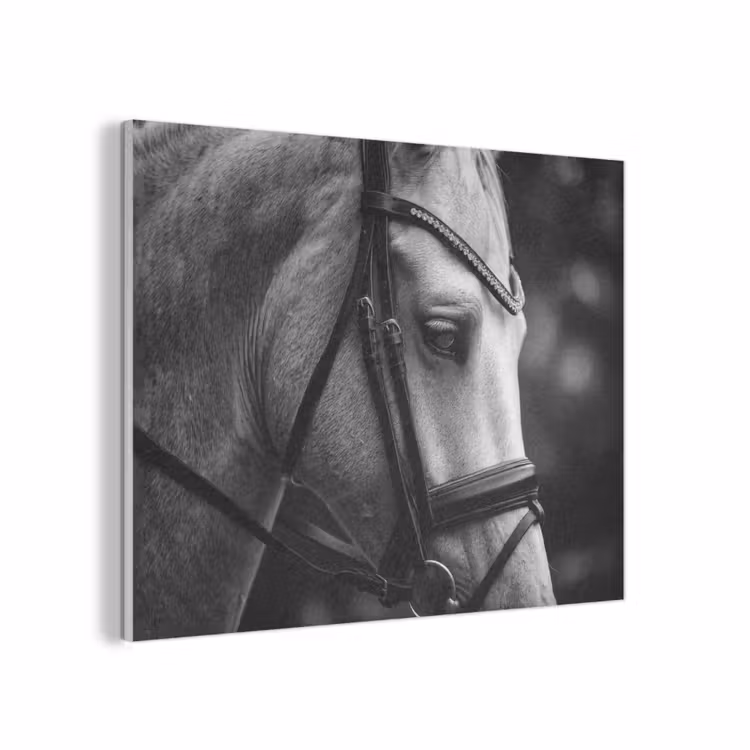 Paard - Schimmel - Portret PET vilt klein -3d