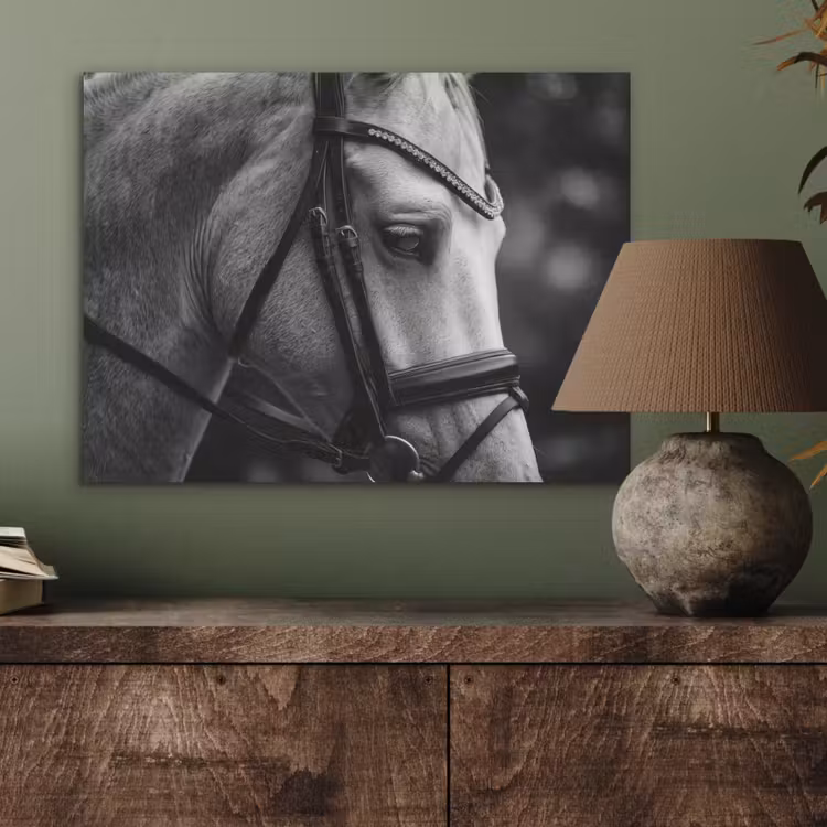 Paard - Schimmel - Portret PET vilt klein -sfeer2