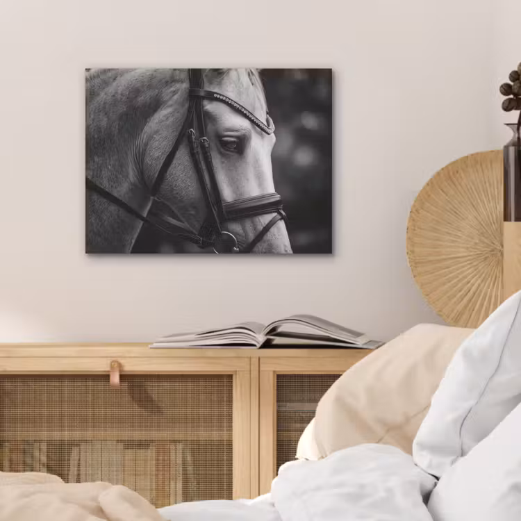 Paard - Schimmel - Portret PET vilt klein -sfeer3
