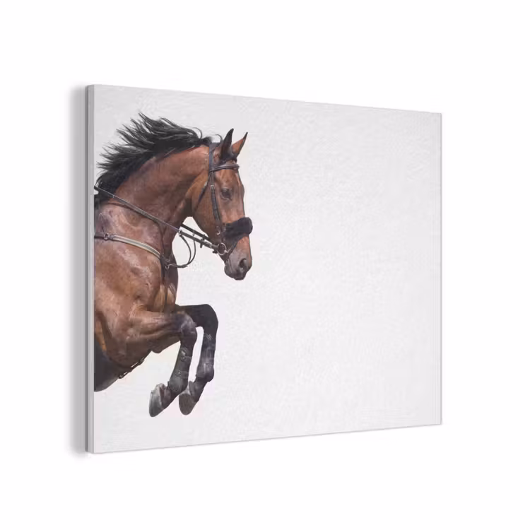 Paard - Springen - Modern PET vilt klein -3d