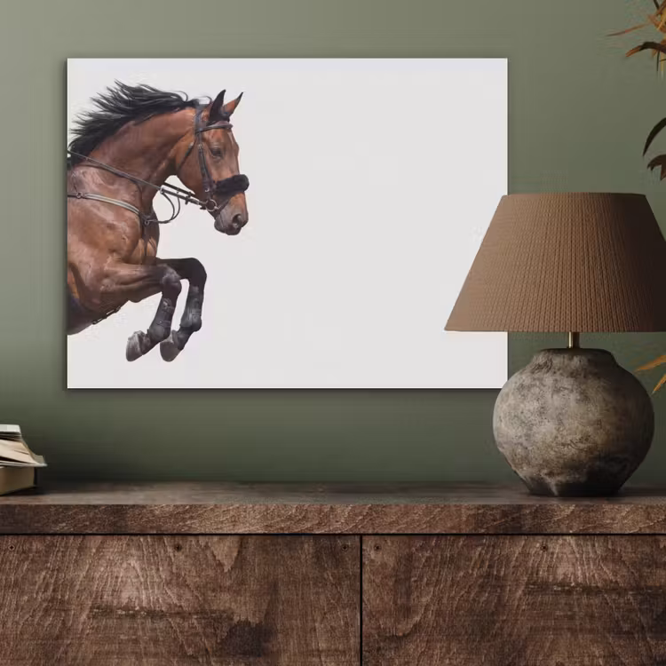 Paard - Springen - Modern PET vilt klein -sfeer2