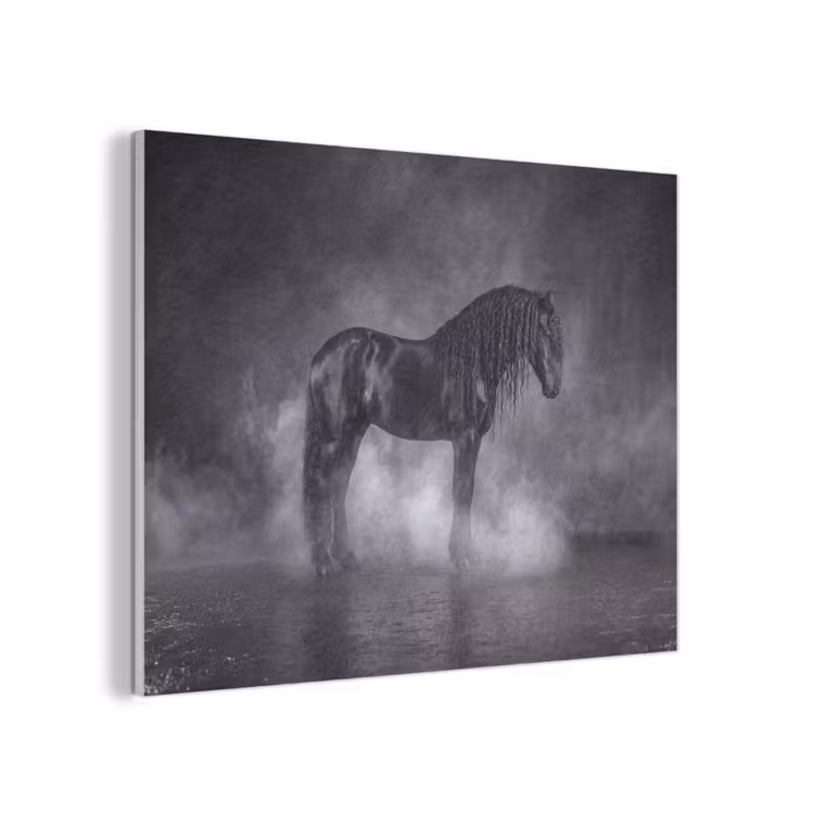 Paard - Magisch - Zwart PET vilt klein -3d