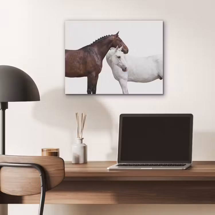 Paard - Modern - Balans PET vilt klein -sfeer5