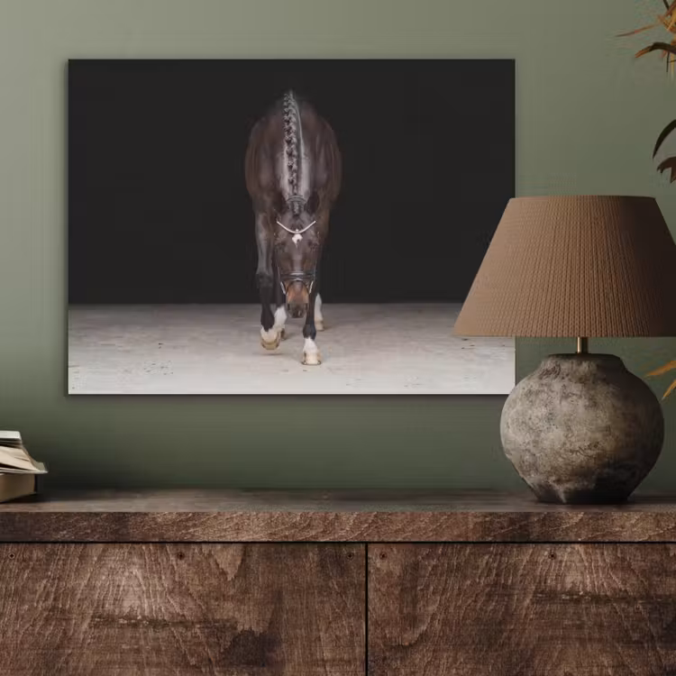 Paard - Modern - Portret PET vilt klein -sfeer2