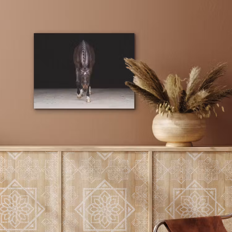 Paard - Modern - Portret PET vilt klein -sfeer4
