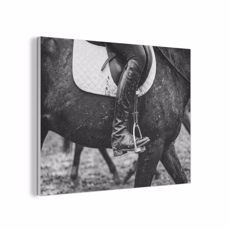 Paard - Sport - Zwart - Wit PET vilt klein -3d