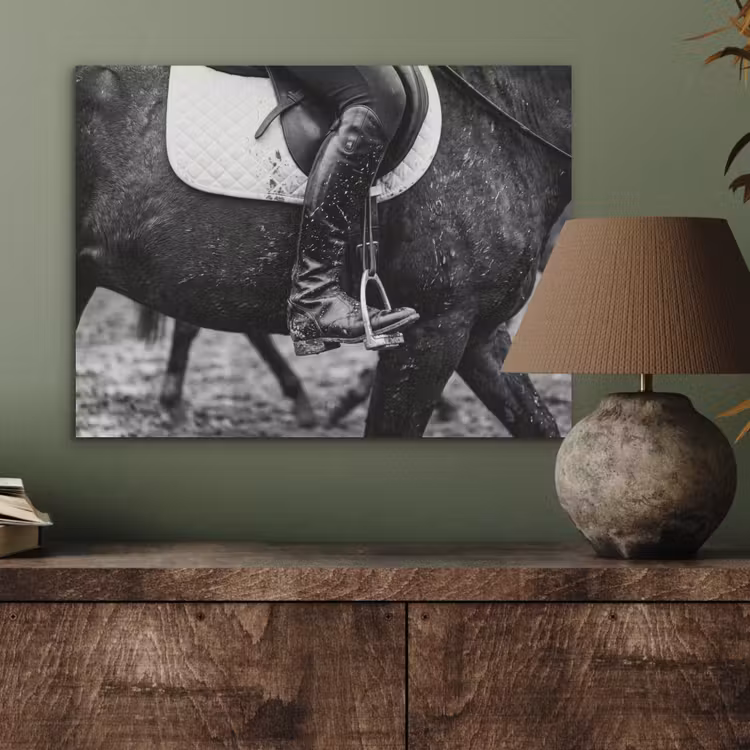 Paard - Sport - Zwart - Wit PET vilt klein -sfeer2