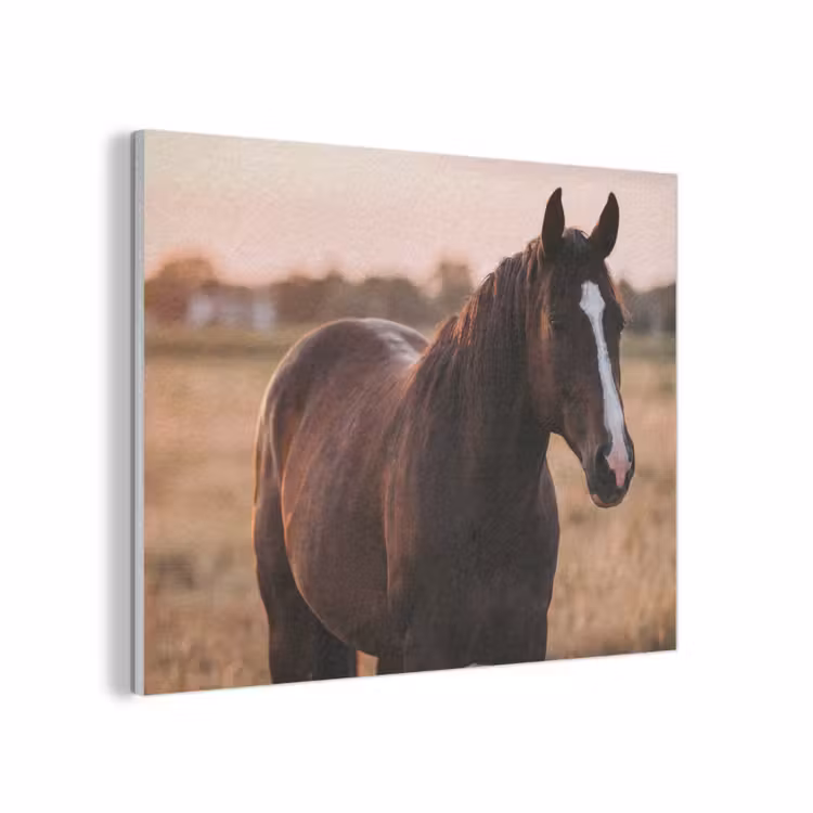 Paard - Zonsondergang - Bruin PET vilt klein -3d
