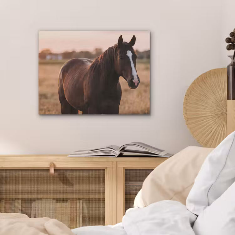 Paard - Zonsondergang - Bruin PET vilt klein -sfeer3