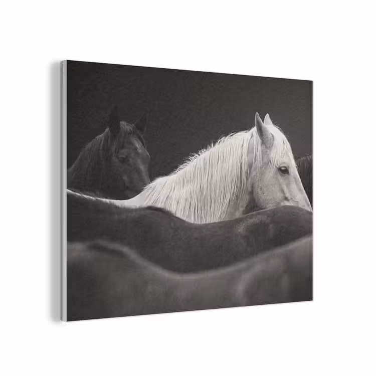 Paarden - Zwart - Wit - Kudde PET vilt klein -3d