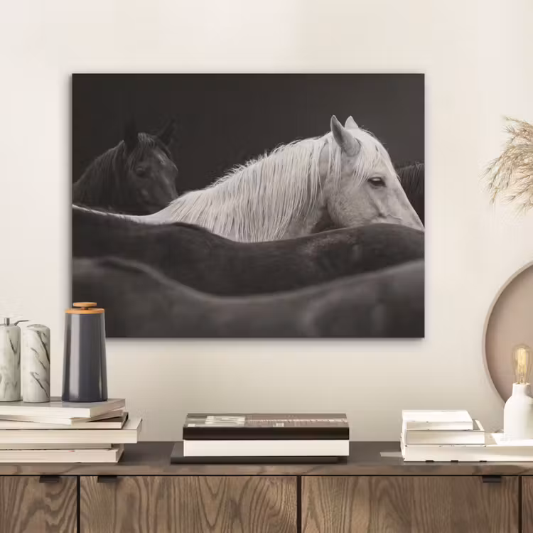 Paarden - Zwart - Wit - Kudde PET vilt klein -sfeer1