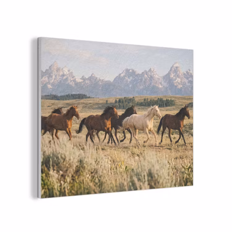 Paarden - Kudde - Bergen - Vrijheid - Wild PET vilt klein -3d