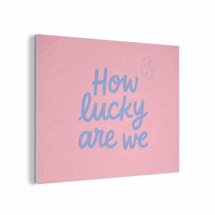 How lucky are we - Klavervier - Roze - Blauw PET vilt klein -3d
