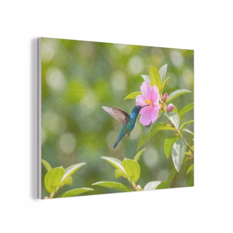 Kolibrie - Bloem - Natuur - Groen PET vilt klein -3d