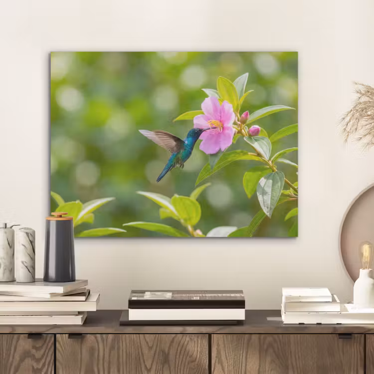 Kolibrie - Bloem - Natuur - Groen PET vilt klein -sfeer1