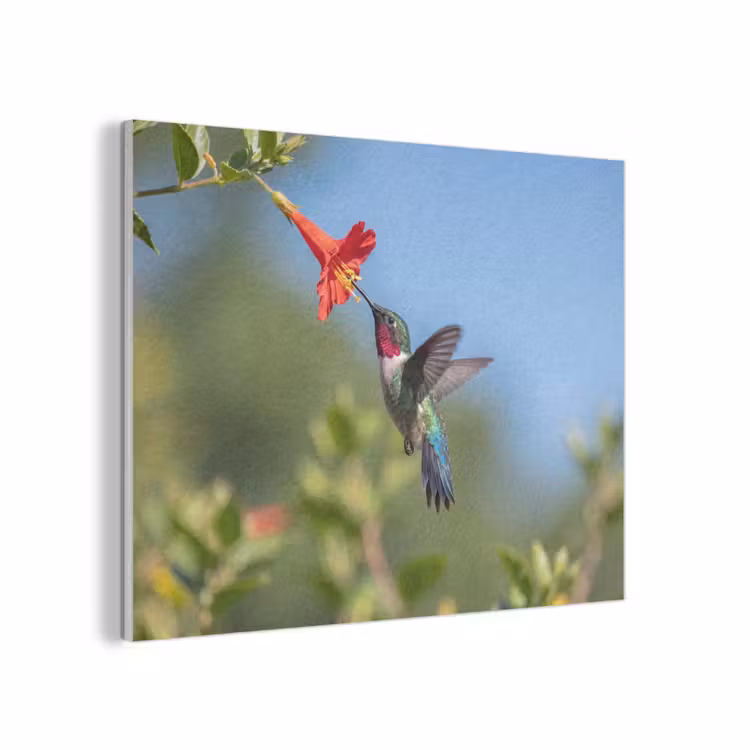 Kolibrie - Bloem - Natuur - Groen PET vilt klein -3d