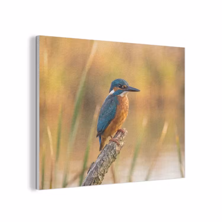 IJsvogel - Tak - Water - Kleurrijk - Levendig PET vilt klein -3d
