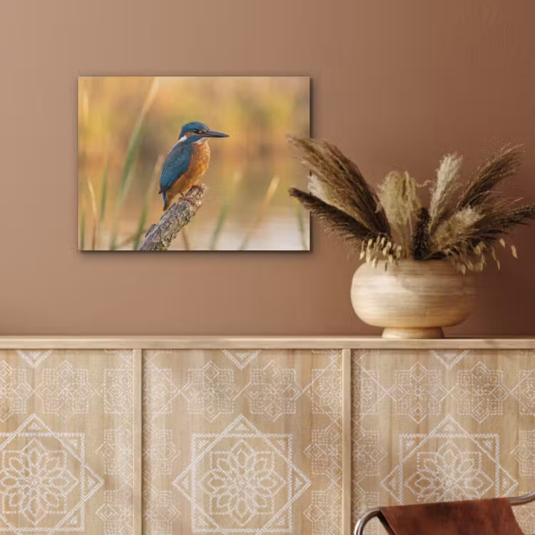 IJsvogel - Tak - Water - Kleurrijk - Levendig PET vilt klein -sfeer4