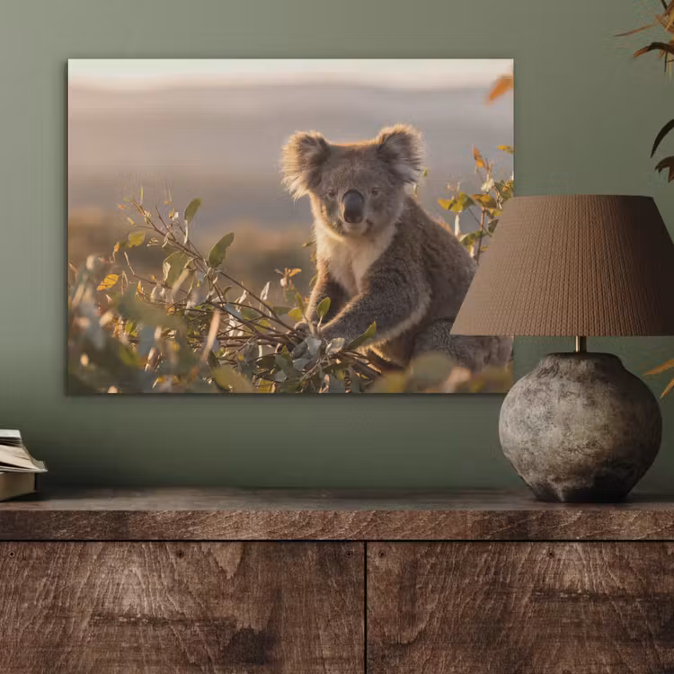 Koala - Bladeren - Ochtendlicht PET vilt klein -sfeer2