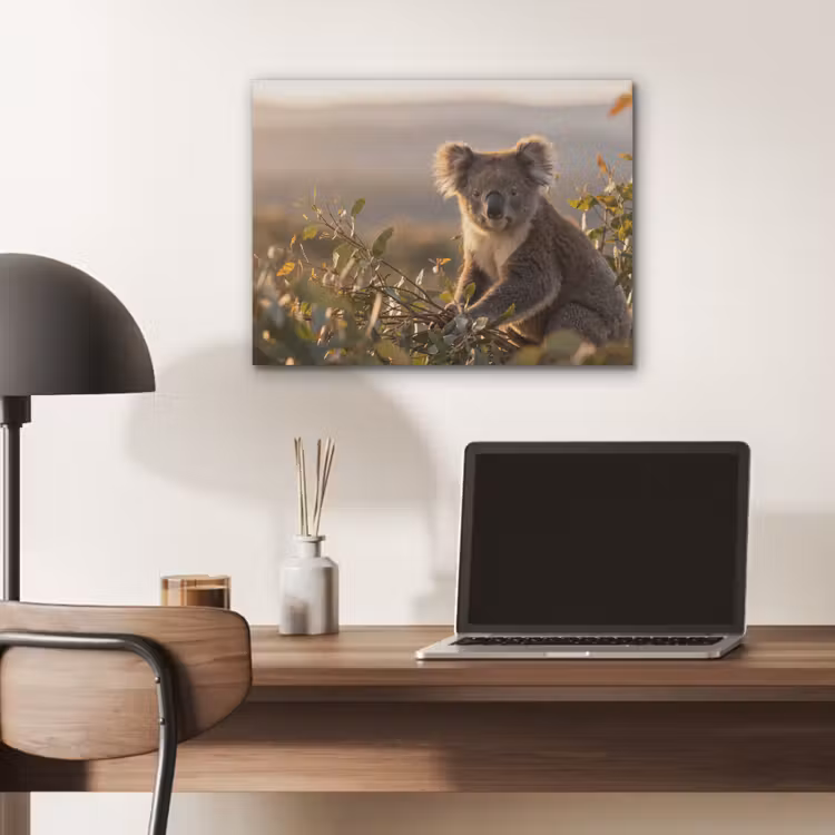Koala - Bladeren - Ochtendlicht PET vilt klein -sfeer5