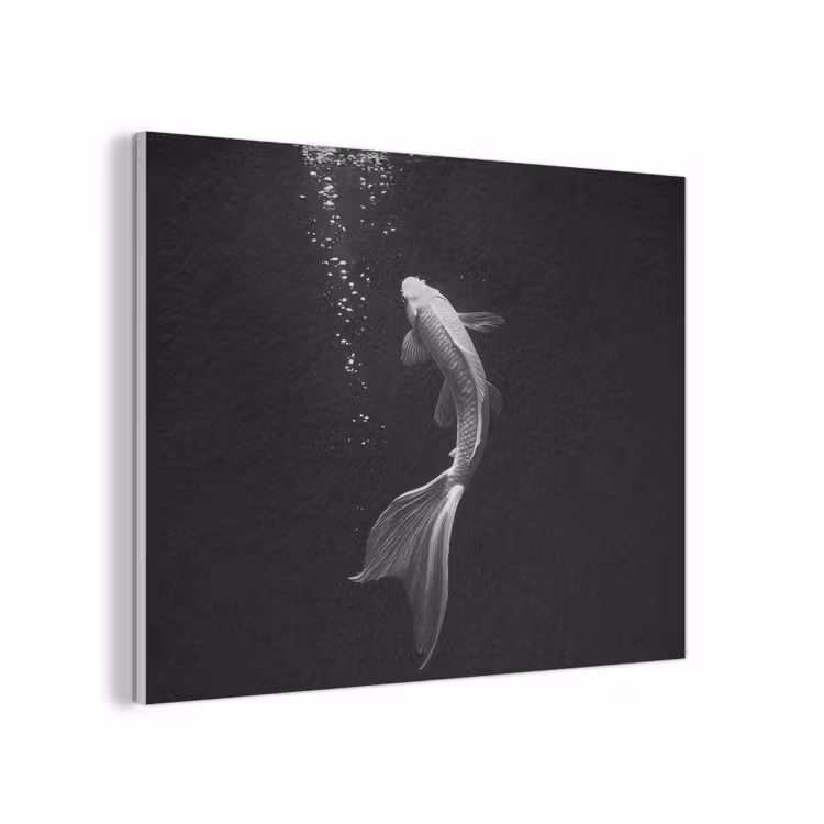 Koi - Vis - Wit - Zwart PET vilt klein -3d