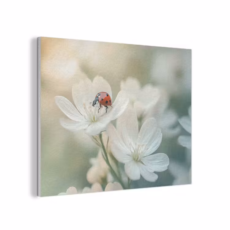 Lieveheersbeestje - Bloemen - Wit PET vilt klein -3d