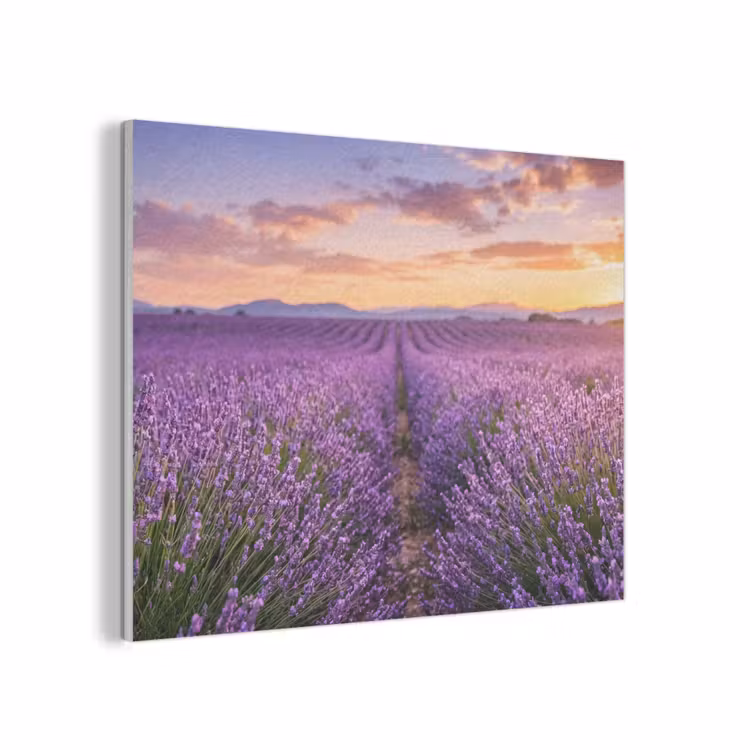 Lavendel - Veld - Natuur - Paars PET vilt klein -3d