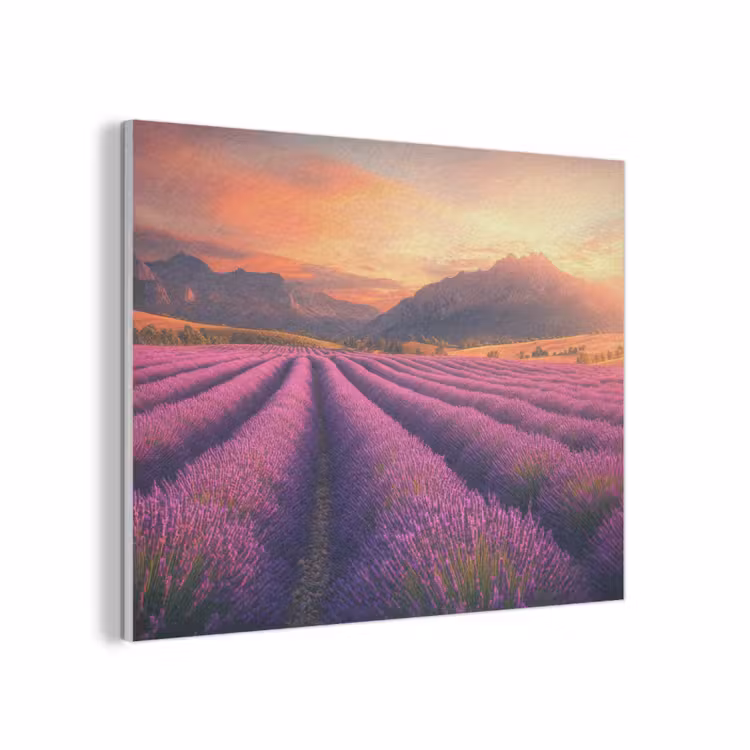 Lavendelveld - Zonsondergang - Paars PET vilt klein -3d