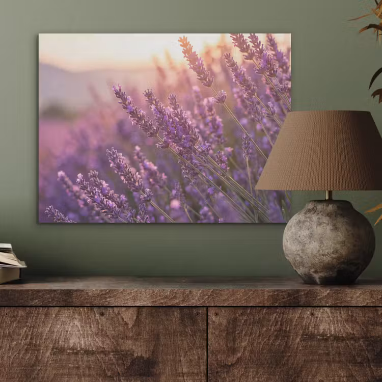 Lavendel - Paars - Zonlicht PET vilt klein -sfeer2