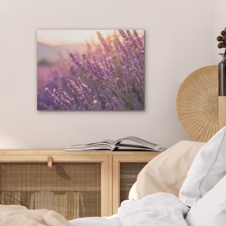 Lavendel - Paars - Zonlicht PET vilt klein -sfeer3