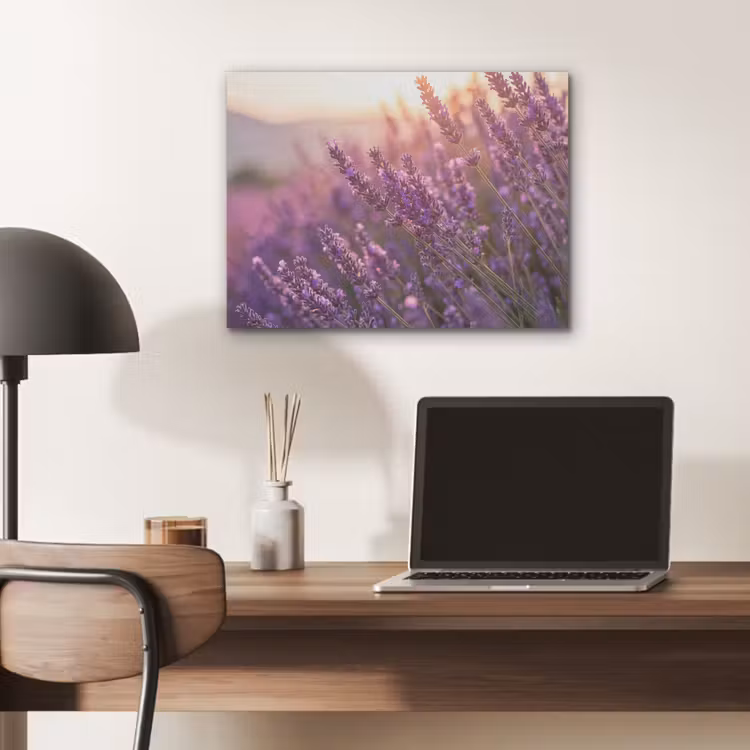 Lavendel - Paars - Zonlicht PET vilt klein -sfeer5