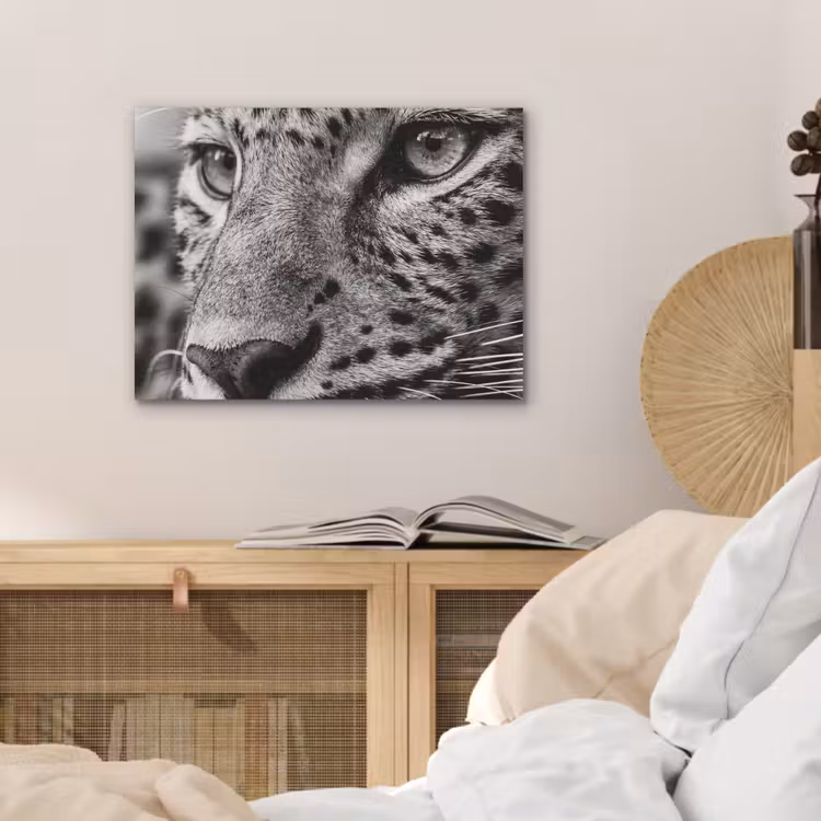 Luipaard - Zwart - Wit - Oog PET vilt klein -sfeer3