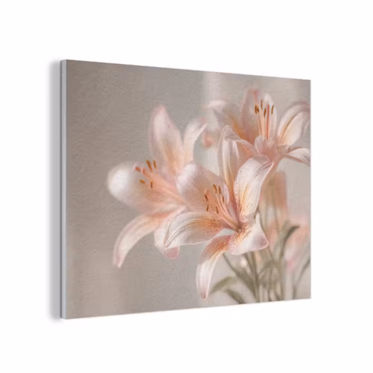 Lelies - Meeldraden - Roze - Wazig PET vilt klein -3d