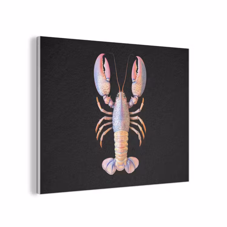 Kreeft - Roze - Zacht - Zwart PET vilt klein -3d