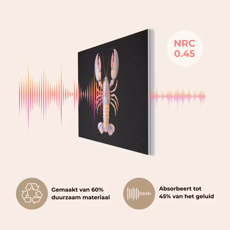 Kreeft - Roze - Zacht - Zwart PET vilt klein -USP_NL