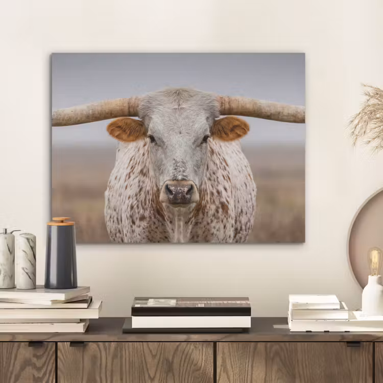 Longhorn - Grasveld - Dier PET vilt klein -sfeer1