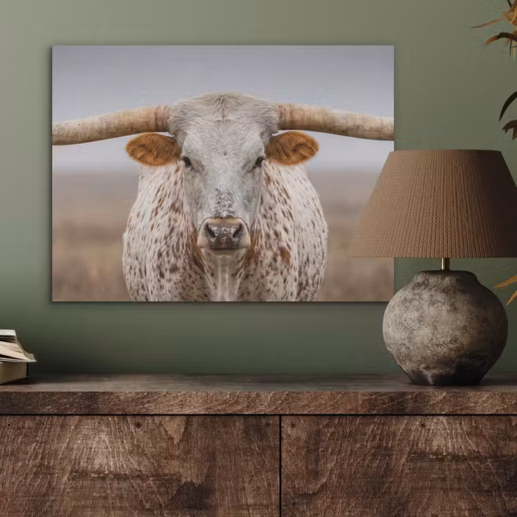 Longhorn - Grasveld - Dier PET vilt klein -sfeer2