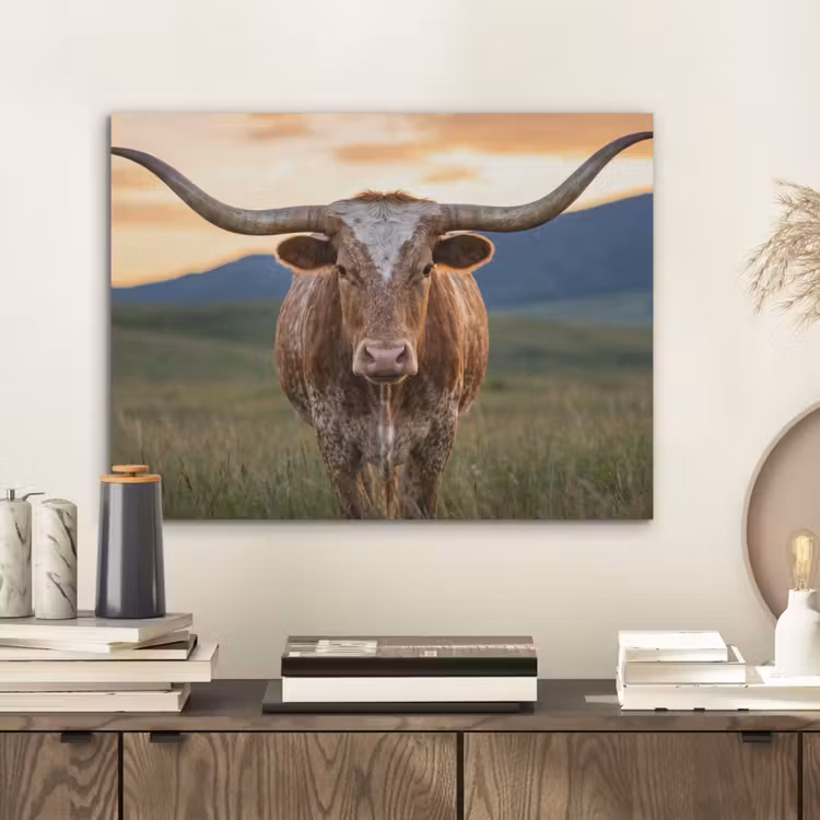 Longhorn - Landschap - Zonsondergang PET vilt klein -sfeer1