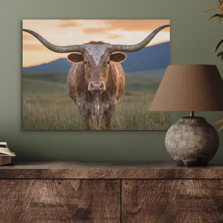 Longhorn - Landschap - Zonsondergang PET vilt klein -sfeer2