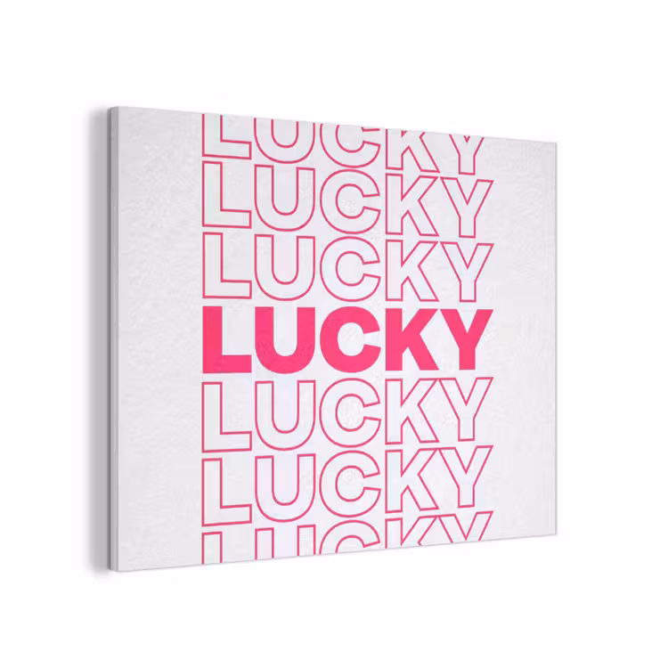 Lucky - Roze - Patroon PET vilt klein -3d